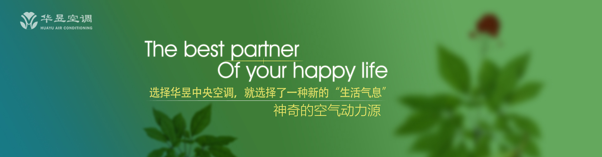 以心传心网